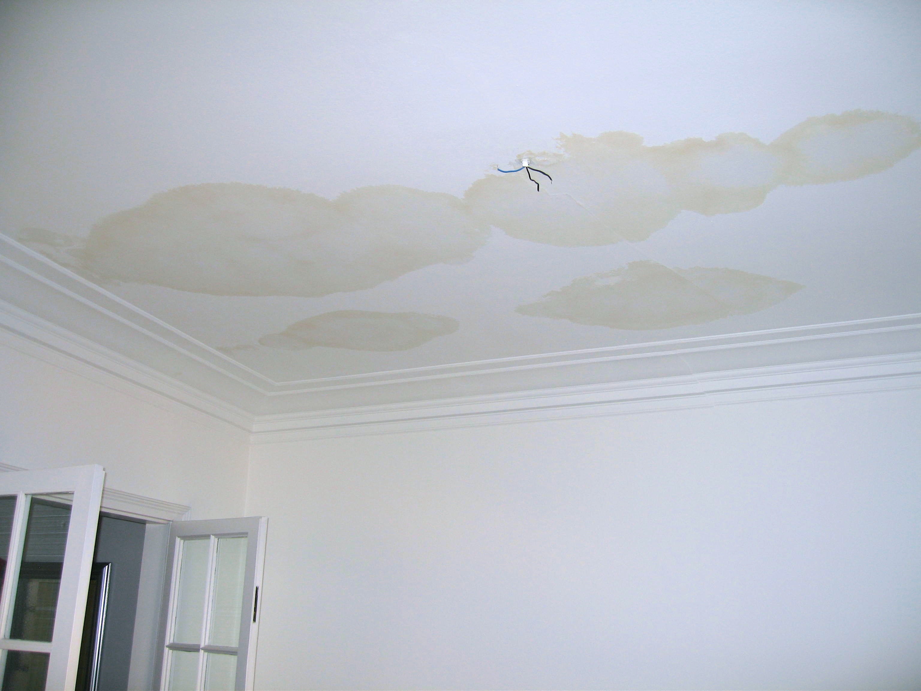 leak-causing-rotting-ceiling.jpg