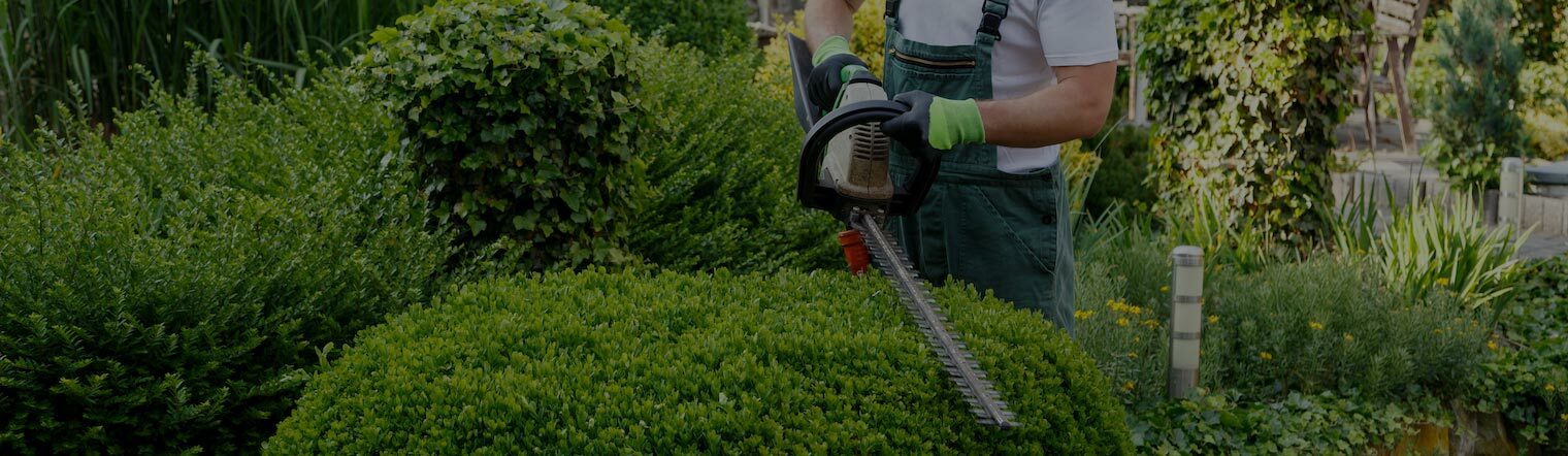 Keep your landscape immaculate with Oncore’s outdoor maintenance services.
